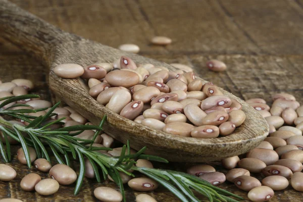 Bohnen Holzlöffel Mit Rosmarin — Stockfoto