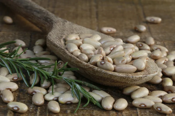 Frijoles — Foto de Stock