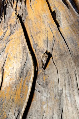 Klasik ahşap arka plan dokusu. Eski boyalı ahşap duvar. Sarı soyut arkaplan. 