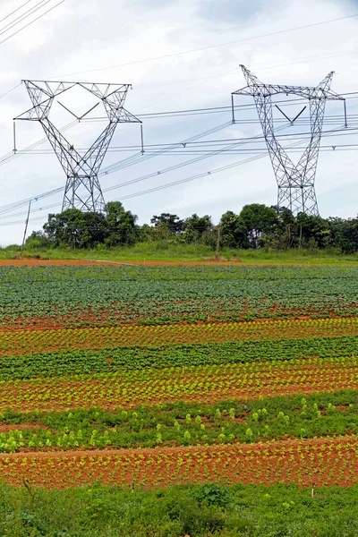 Utsikt Över Gården Trädgårdsområde Med Torn Energiöverföring Och Blå Himmel — Stockfoto