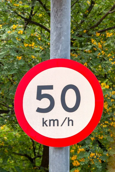Verkeersbord Van Maximum Snelheid Kilometer Uur Met Groene Begroeiing Achtergrond — Stockfoto