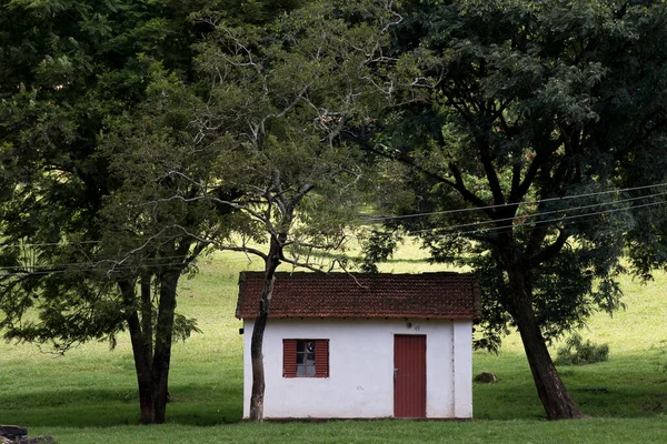 Équipements Établissement Typical Farm Sao Paulo State Brazil — Photo