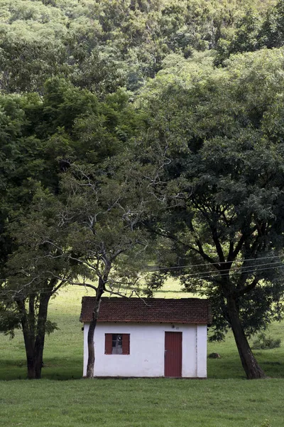 Équipements Établissement Typical Farm Sao Paulo State Brazil — Photo