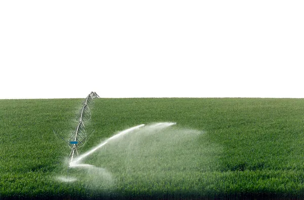 Irrigation Des Cultures Maïs Dans État Sao Paulo — Photo