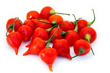 Biquinho hafif biber, Brezilya 'da yaygın olarak kullanılır, beyaz arka planda izole edilmiştir.