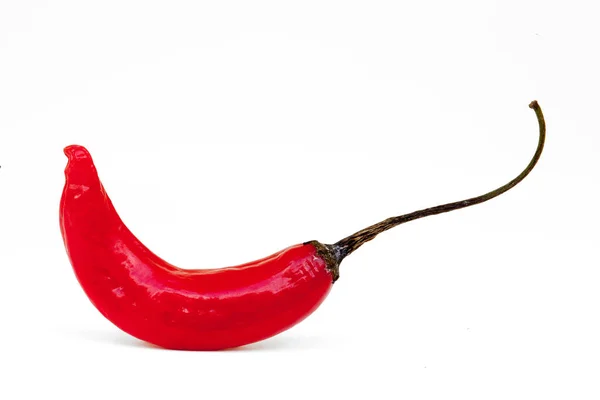 Braziliaanse Rode Peper Capsicum Baccatum Het Portugees Bekend Als Dedo — Stockfoto