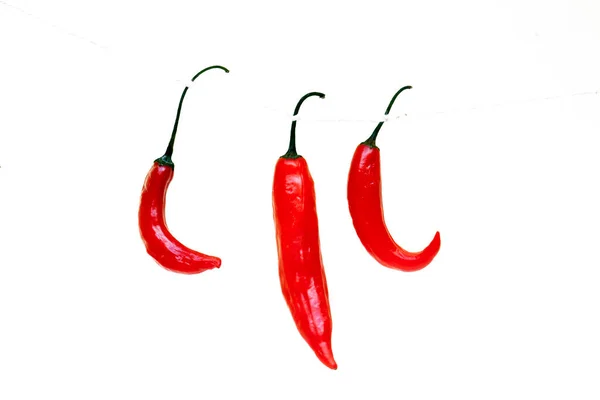 Poivron Rouge Brésilien Capsicum Baccatum Connu Portugais Comme Dedo Moca — Photo