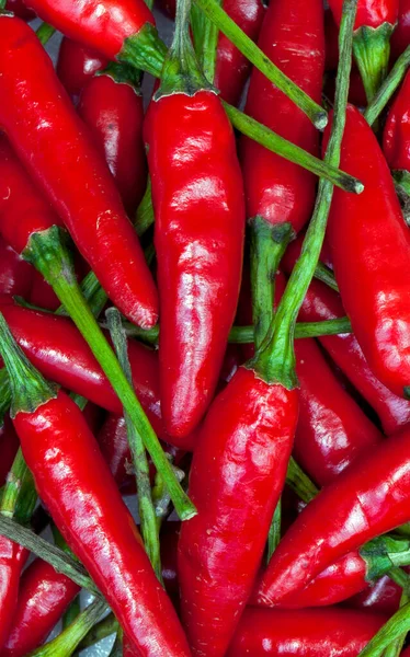Nahaufnahme Eines Stapels Brasilianischen Roten Paprika Der Auf Portugiesisch Als — Stockfoto