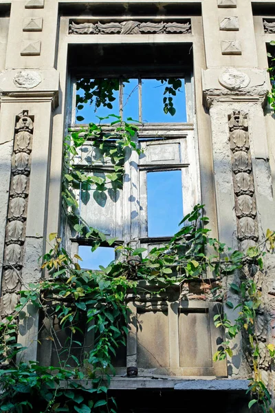 Ruine Ale Vechilor Vile Coloniale Oraș Santos Sao Paulo Brazilia — Fotografie, imagine de stoc