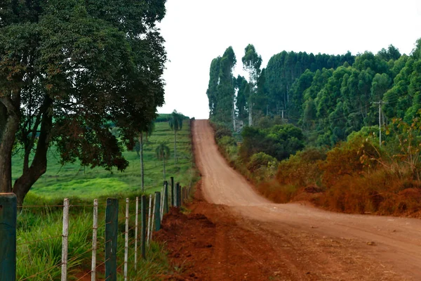 Red Dirt Road Flanked Forest Meadow Field Rural Area Sao — Stockfoto