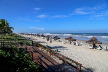 Chairs and umbrellas on Brazilian tropical beach. Bahia state