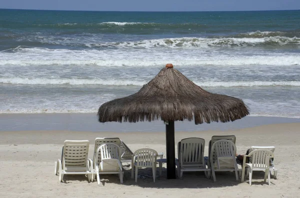 Chairs Umbrellas Brazilian Tropical Beach Bahia State — Zdjęcie stockowe