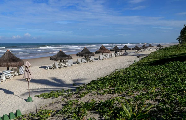 Chairs Umbrellas Brazilian Tropical Beach Bahia State — Stok fotoğraf