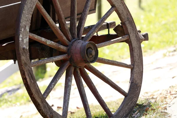 Ancient Wagon Wheel Closeup Used Transport Wine Barrels Countryside Brazil — стоковое фото