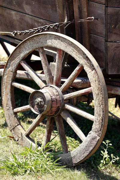 Ancient Wagon Closeup Used Transport Wine Barrels Wineries Brazil — стоковое фото