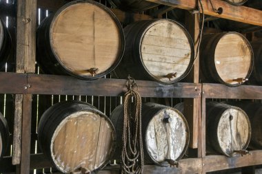 Portekizce şeker kamışı likörü ya da cachaca, tipik Brezilya içkisi, renk ve tat almak için meşe fıçısında dinleniyor. Minas Gerais eyaletinin kırsal kesimi