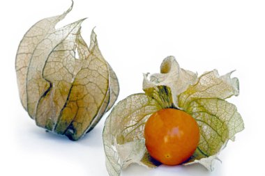 Stüdyoda beyaz arka planda vişne ya da balon vişne Physalis angulata açısına yakın çekim.