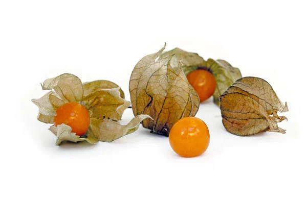 Närbild Vinklade Vinter Körsbär Eller Ballong Körsbär Physalis Angulata Vit — Stockfoto