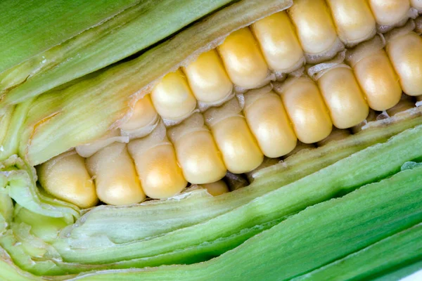 Corn Cob Closeup Highlighting Rows Grains — Stock Photo, Image