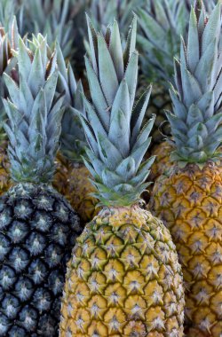 Açık hava piyasası tezgahında açıkta kalan bir grup ananas.