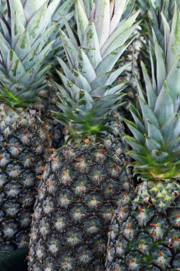 Açık hava piyasası tezgahında açıkta kalan bir grup ananas.