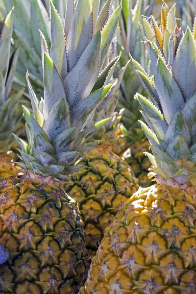 Gros Plan Bouquet Ananas Exposé Sur Étagère Marché Plein Air — Photo
