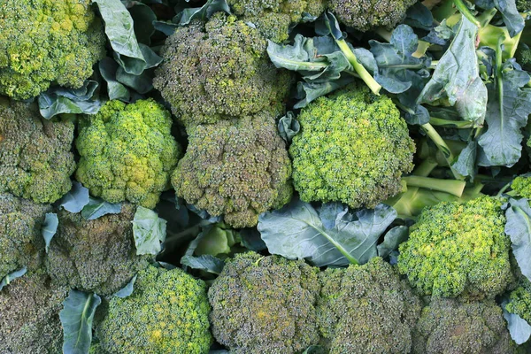 Closeup Folhas Brócolis Fresco Venda Talo Mercado Livre São Paulo — Fotografia de Stock