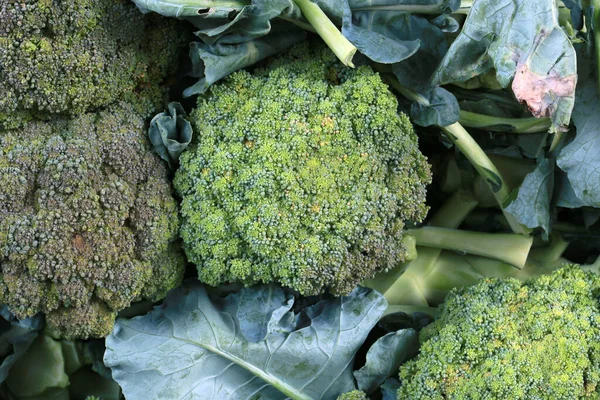 Pendekatan Daun Segar Brokoli Untuk Dijual Warung Pasar Luar Sao — Stok Foto