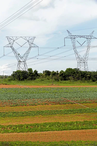 Torre Transmisión Energía Zona Hortícola Estado Sao Paulo Brasil — Foto de Stock