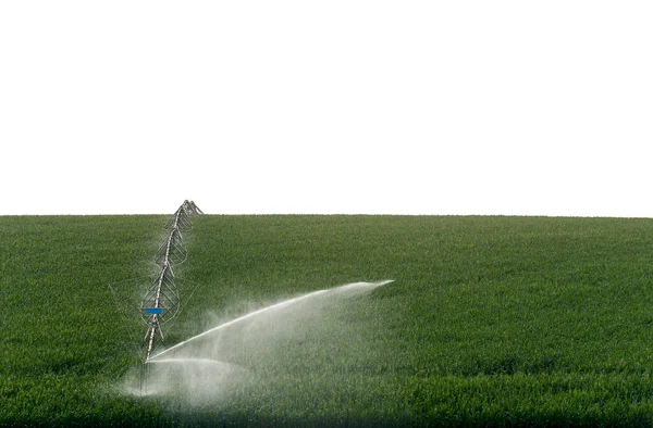 Irrigação Plantação Milho Interior Estado São Paulo Brasil — Fotografia de Stock