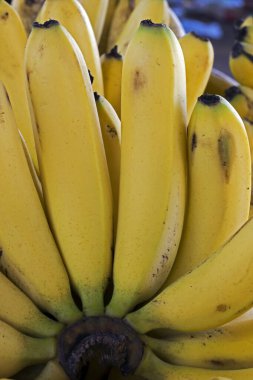 Sokak pazarındaki muz demetine yakın çekim. Sao Paulo Şehri, Brezilya