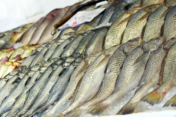 魚屋の棚に氷の中に堆積した魚全体のグループ ブラジルのサントス市 — ストック写真