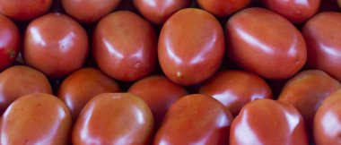 Brezilya pazarındaki tezgahta bir yığın olgun domates. Sao Paulo şehri, Brezilya