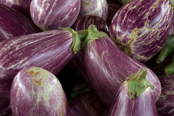 Närbild Aubergine Högen Utomhus Marknaden Stall Sao Paulo Stad Brasilien — Stockfoto