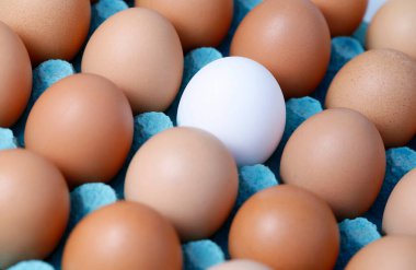 Kahverengi yumurtaların arasında kutuda tek bir beyaz yumurtaya yakın çekim