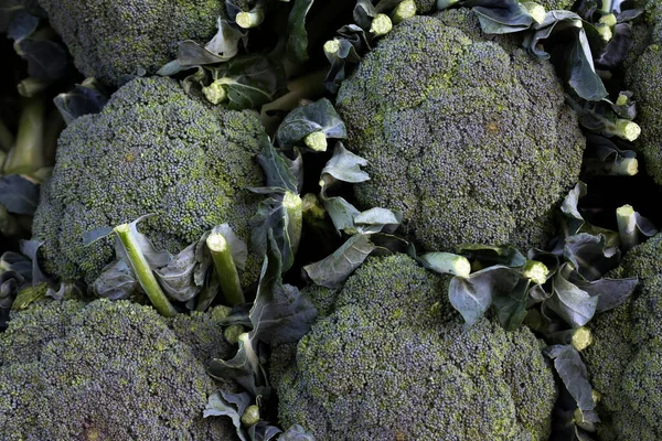 Cauliflowers Close Talo Mercado Livre São Paulo Brasil — Fotografia de Stock