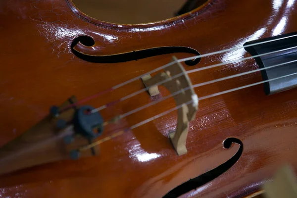 中提琴的关门 — 图库照片