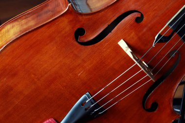 Keman çellosunu kapat