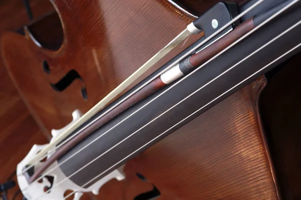 Viola Rust Voor Het Concert — Stockfoto