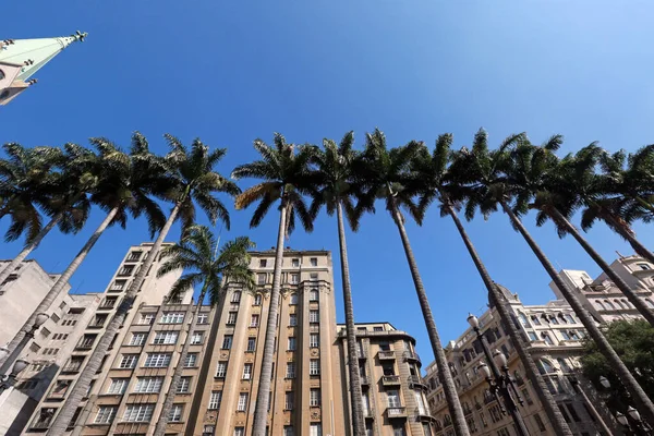 Cesarskie Palmy Placu Geograficzne Centrum Miasta Sao Paulo Gdzie Znajduje — Zdjęcie stockowe