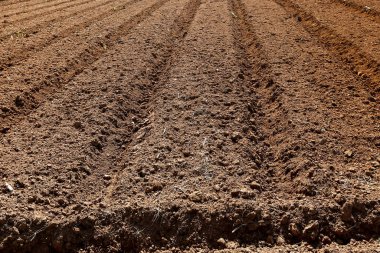 Yataklar ve kırışıklıklarla döşenmiş topraklar ekilmeye hazır. Sao Paulo Eyaleti, Brezilya