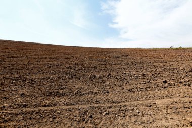 Brezilya 'nın kırsal kesimlerinde beyaz bulutlar tarafından çekilen tarlalar ekime hazır.