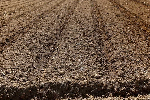 Terreno Arado Con Camas Surcos Listo Para Plantar Estado Sao —  Fotos de Stock