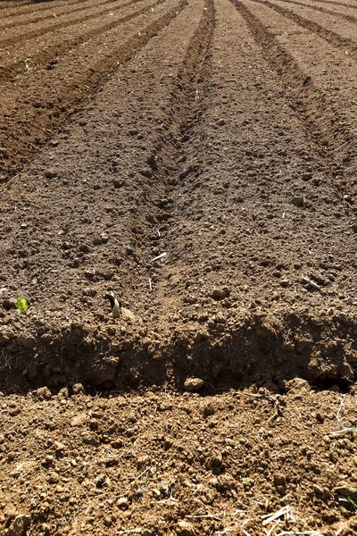 Land Plowed Beds Furrows Ready Planting Sao Paulo State Brazil — Stock Photo, Image