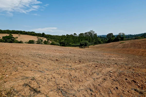 Terres Labourées Prêtes Être Plantées Avec Des Restes Forêt Arrière — Photo