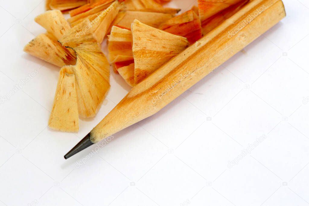 Stump of natural wood pencil with wood chips, on white background