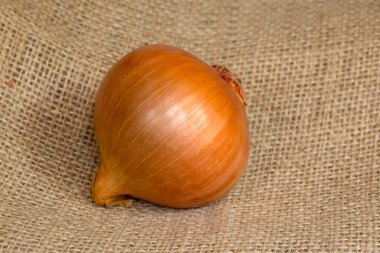 Soğan kahverengi çuvala üzerinde closeup