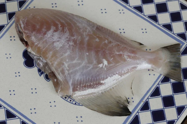 Rauwe Grijze Trekkervis Porquinho Het Portugees Servies Gedecoreerd Blauw Klaar — Stockfoto