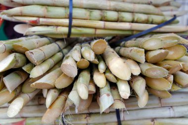 Şeker kamışı yığını meyve suyu yapmak için, Portekizce garapa, açık hava pazar standında. Brezilya