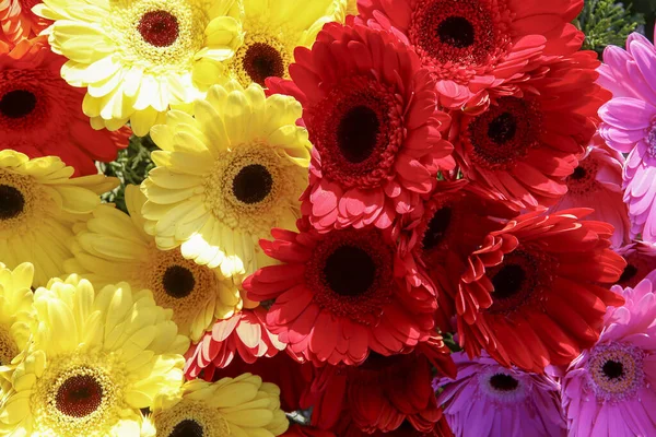 Buquê Flores Multicoloridas Loja Flores — Fotografia de Stock